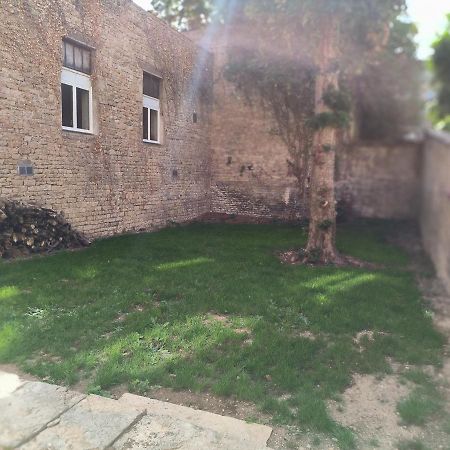 Aux Fleurs De Darcy Confort Centre Ville Dijon Dış mekan fotoğraf